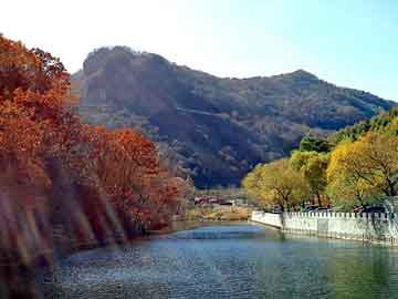 天天彩好彩天天免费，南沙注册公司